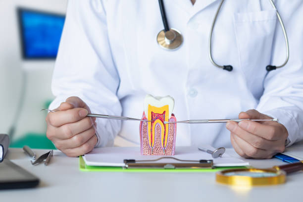 Best Emergency Treatment for Toothache in Munster, IN